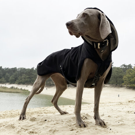 Torzoo Dark XL