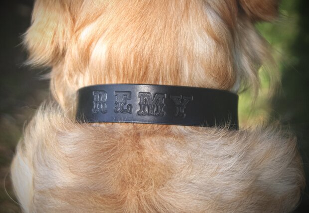 Halsband original