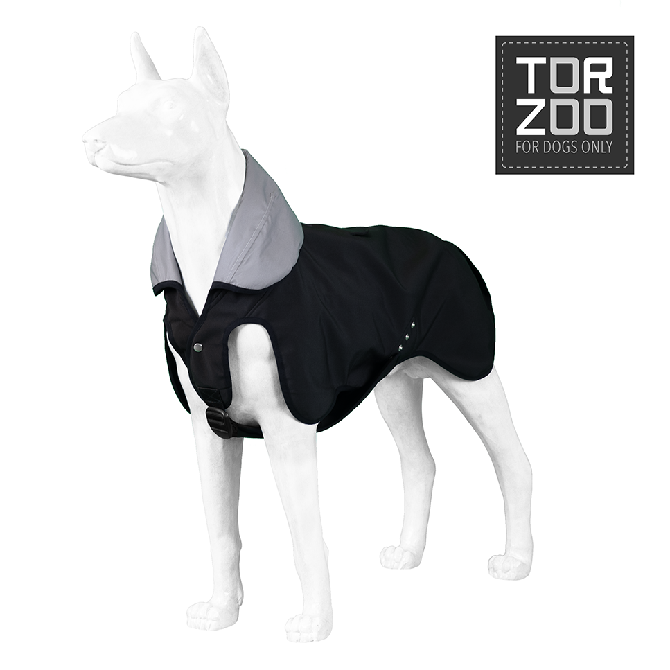 Torzoo Dark