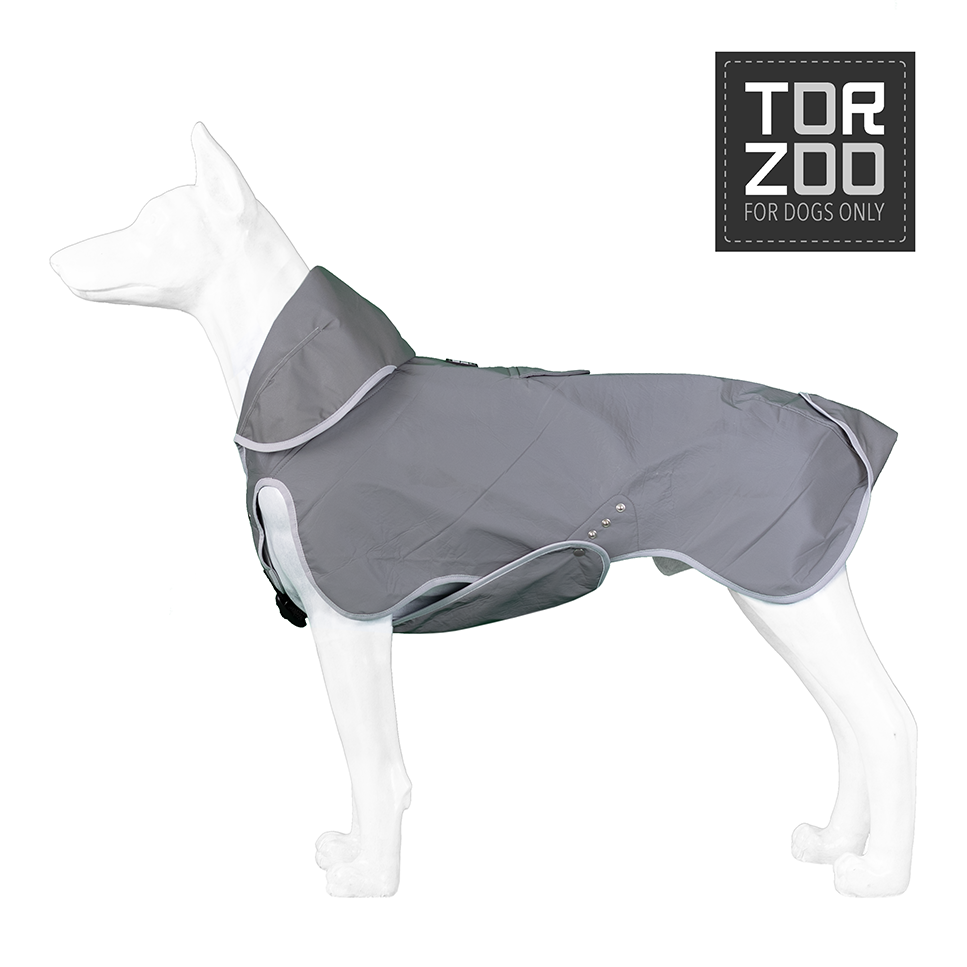 Torzoo Space