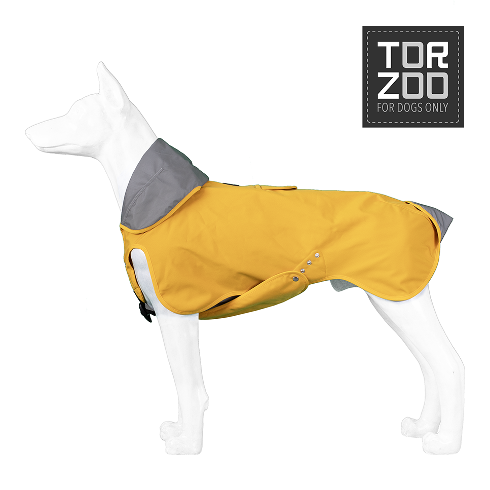 Torzoo Volt