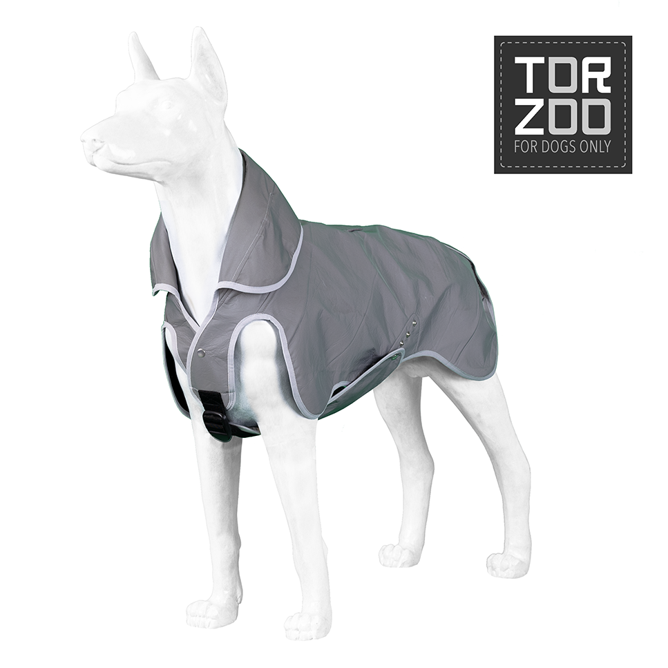Torzoo Space