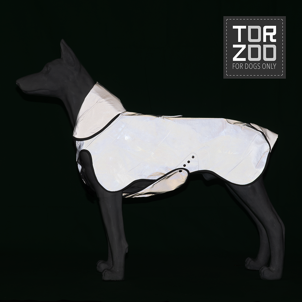 Torzoo Space