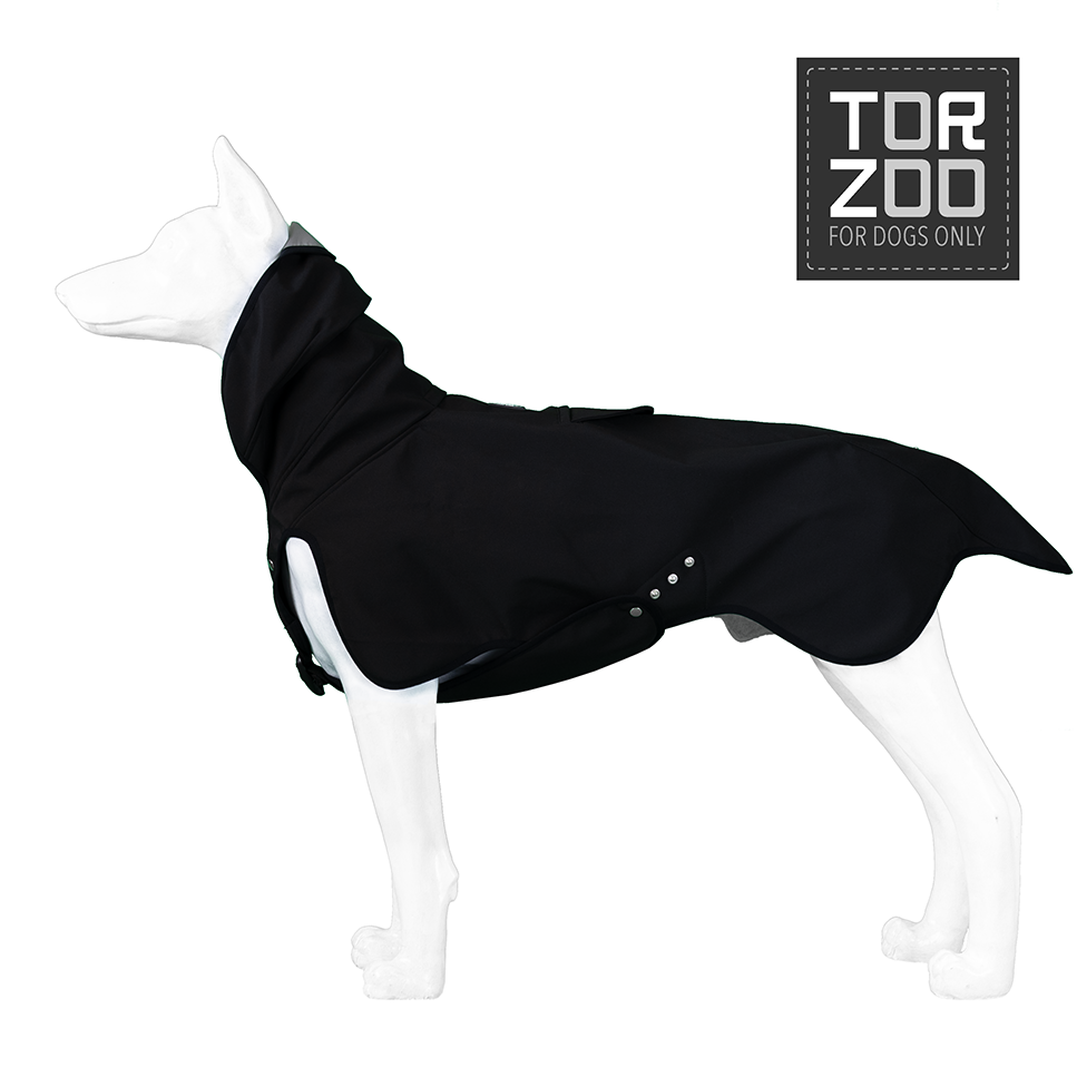 Torzoo Dark